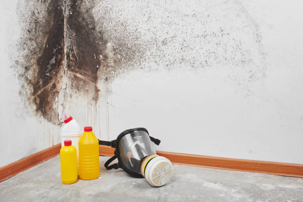 Best Crawl Space Mold Removal  in Marcus, IA