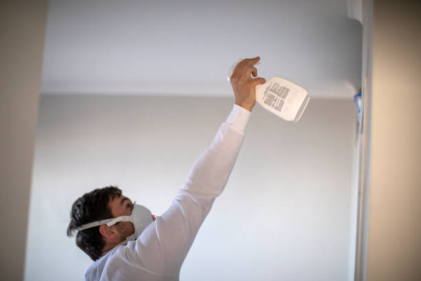 Best Black Mold Removal  in Marcus, IA