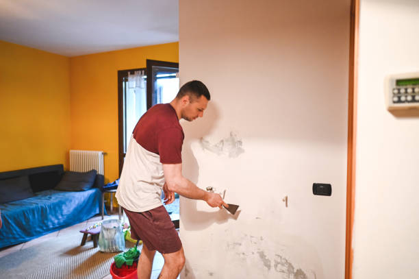 Best Professional Mold Removal  in Marcus, IA